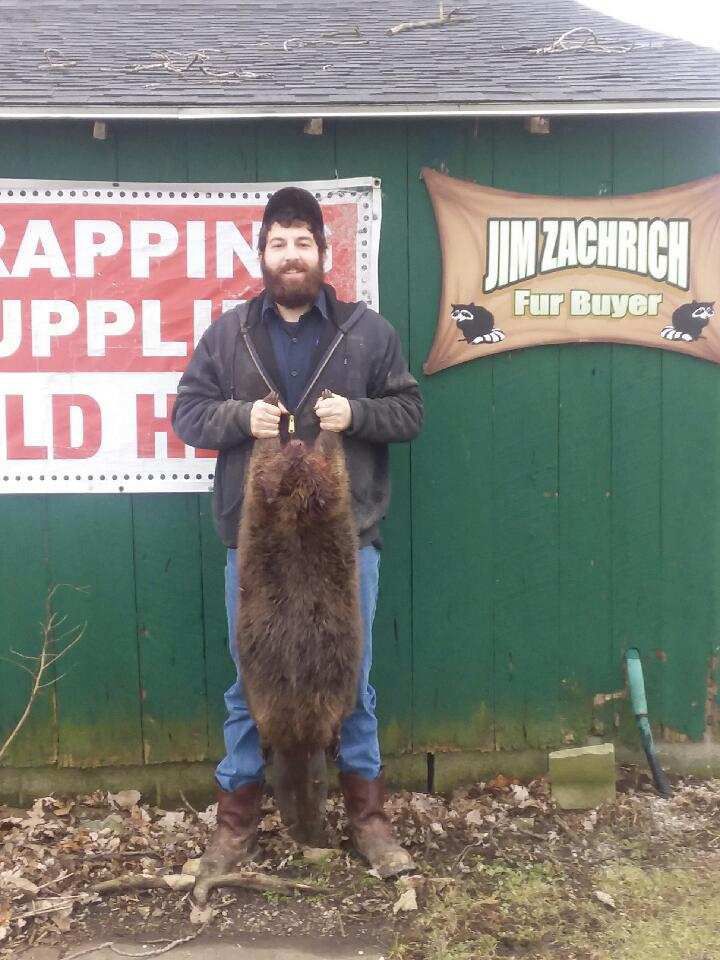012419_Beaver.jpg